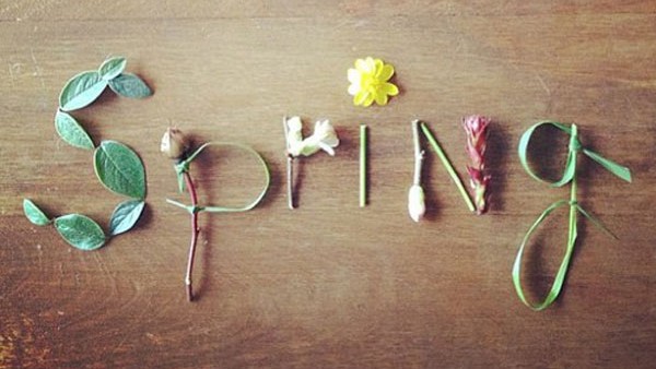 Primavera colegial en Ayapunt